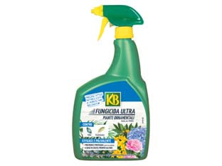 Fungicida ultra liquido pronto alluso - ml.800 - combatte le malattie fungine come Ticchiolatura della rosa e Mal bianco, l'azione dello zolfo è di tipo preventivo, l'attivit...